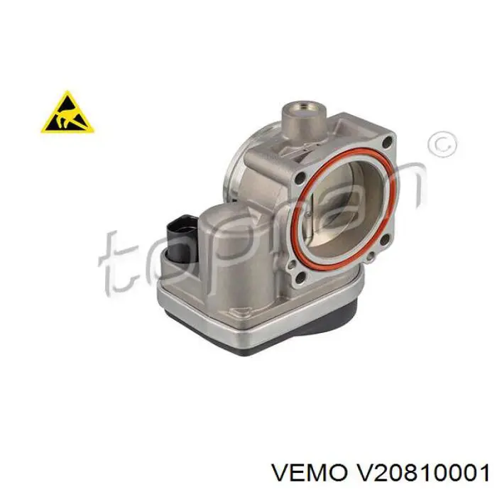 v20-81-0001 Vemo cuerpo de mariposa completo