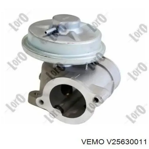 EG1041212B1 Delphi Válvula EGR