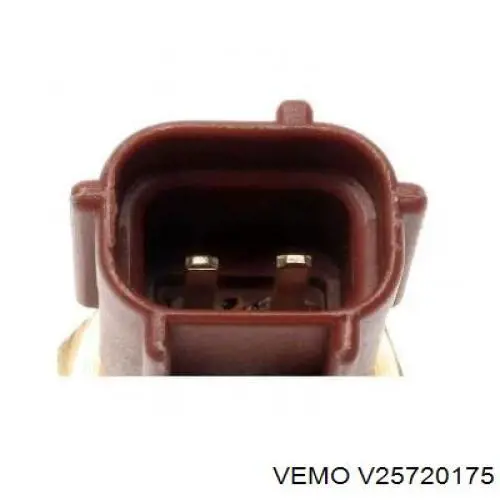 Sensor de temperatura SW5157 Ford
