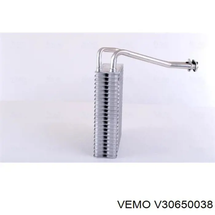 V30650038 Vemo