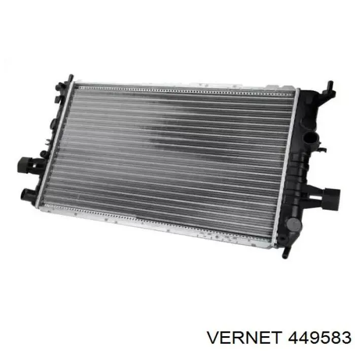 449583 Vernet Termostato de agua