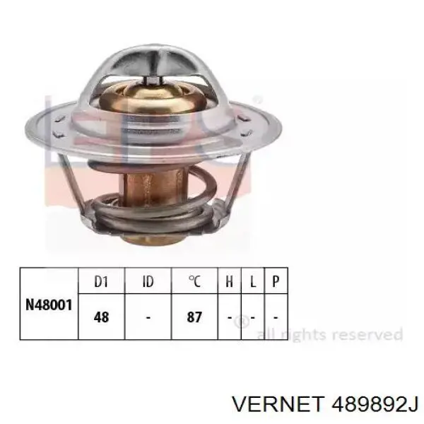 Termostato 489892J Vernet