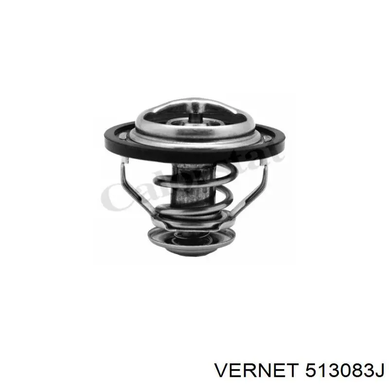 513083J Vernet Termostato de agua