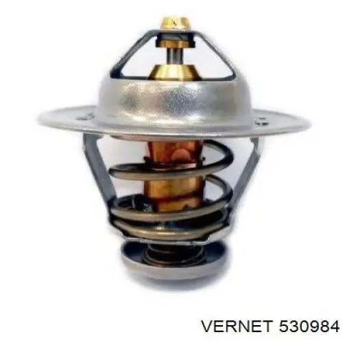 Comprar 530984 Vernet Termostato