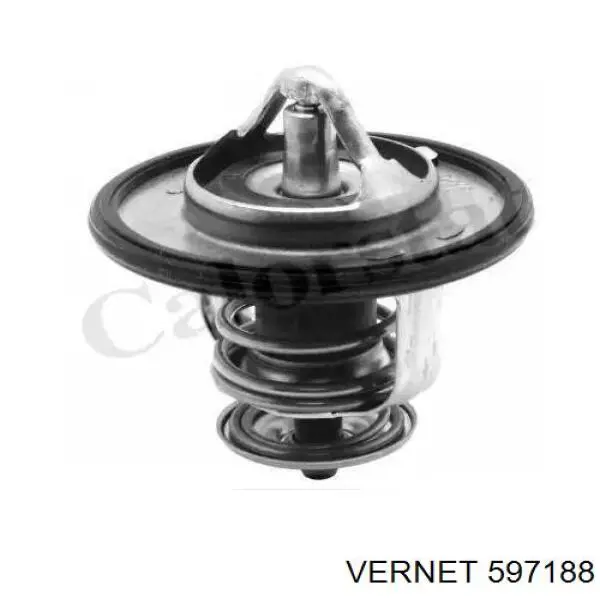 597188 Vernet