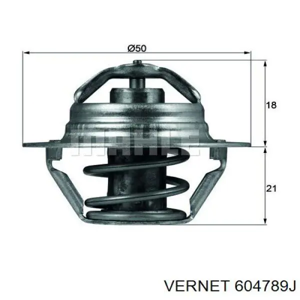 Termostato 604789J Vernet
