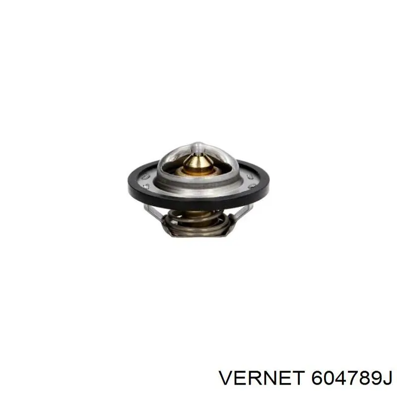 Termostato, refrigerante Renault Laguna 2 BG0, BG1