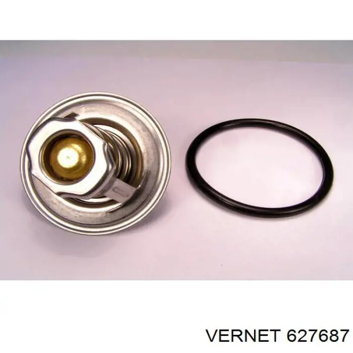 627687 Vernet Termostato de agua