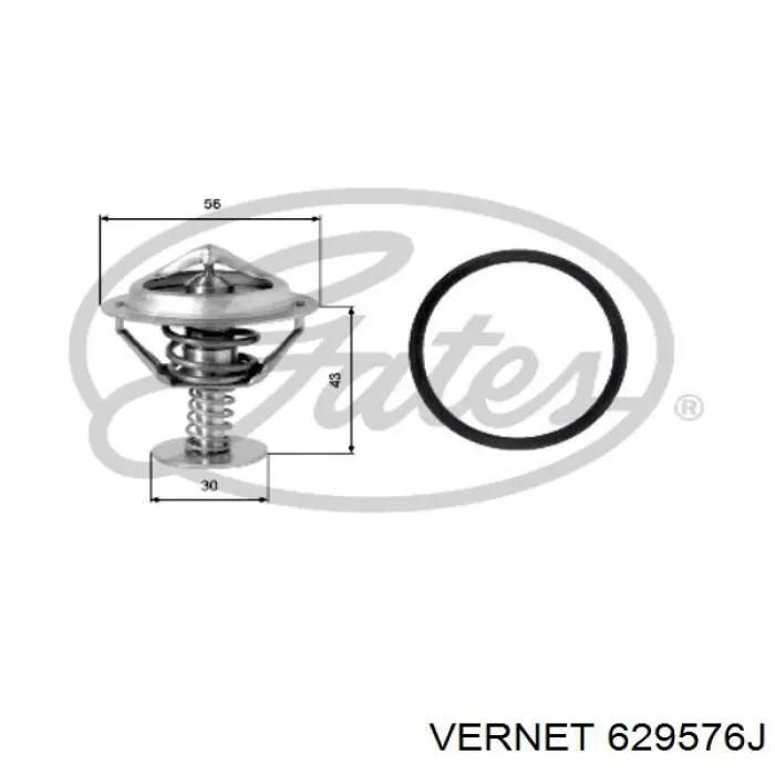 629576J Vernet termostato, refrigerante