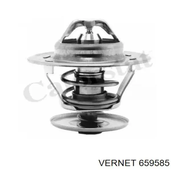 Comprar 21101306010 Rider Termostato