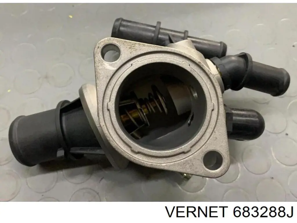 683288J Vernet Termostato de agua