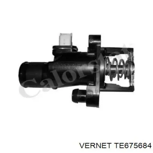 TE675684 Vernet Termostato de agua