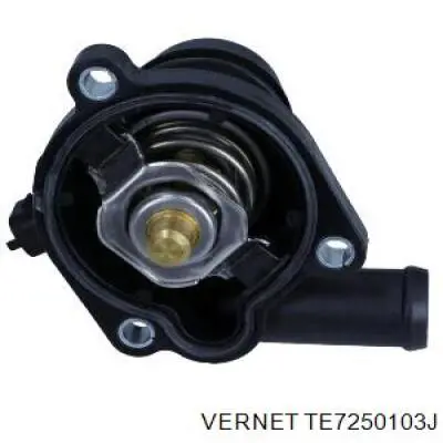 TE7250103J Vernet Termostato de agua