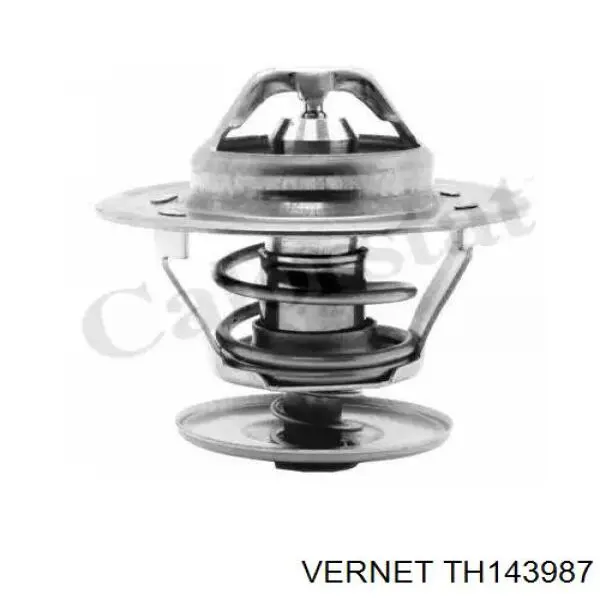 TH143987 Vernet Termostato de agua