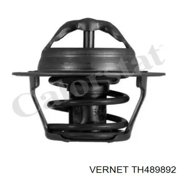 TH489892 Vernet Termostato de agua