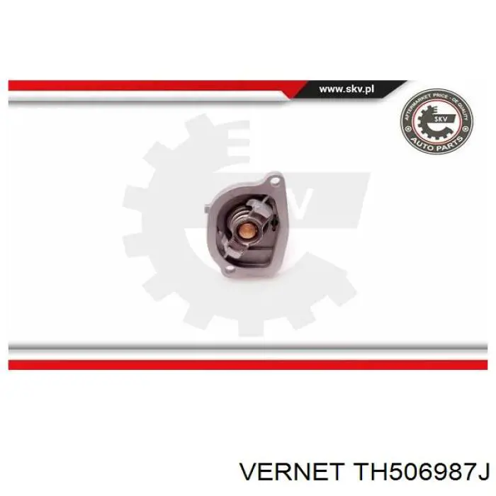Termostato TH506987J Vernet