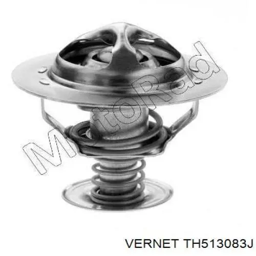 TH513083J Vernet Termostato de agua