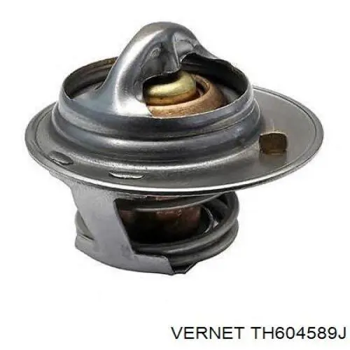 TH604589J Vernet Termostato de agua