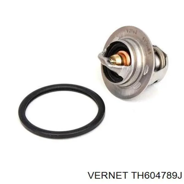 Termostato, refrigerante Renault Laguna 2 BG0, BG1
