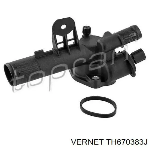 Termostato, refrigerante Nissan Tiida C11X