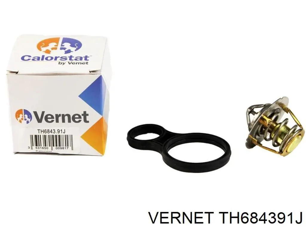 TH6843.91J Vernet termostato