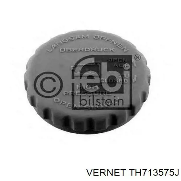 Termostato auxiliar Vernet TH713575J precio, desde 11,74 EUR