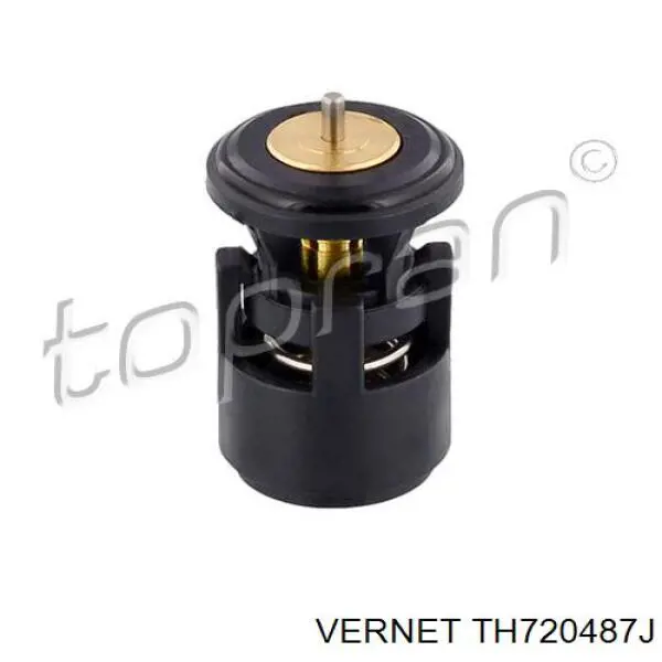 Caja del termostato Seat Ibiza 2 6K1