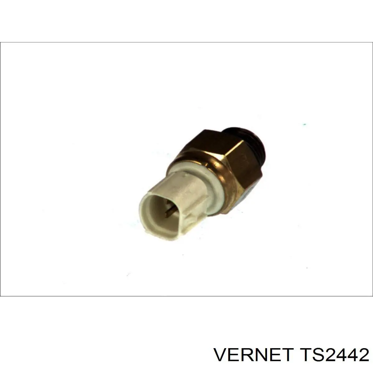 TS2442 Vernet sensor, temperatura del refrigerante (encendido el ventilador del radiador)