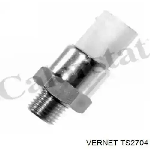 Sensor de temperatura  Vernet TS2704 precio, desde 27,40 EUR