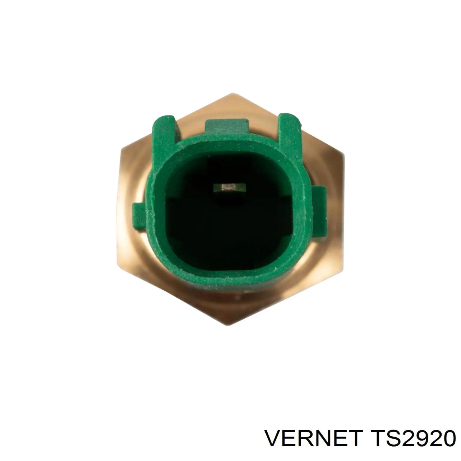 TS2920 Vernet sensor, temperatura del refrigerante (encendido el ventilador del radiador)