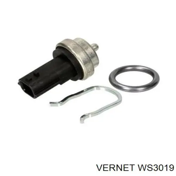 Comprar WS3019 Vernet Sensor de temperatura de agua