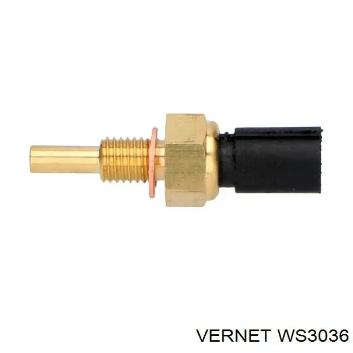 WS3036 Vernet sensor de temperatura del refrigerante