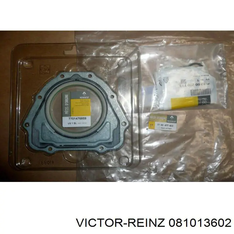 081013602 Victor Reinz