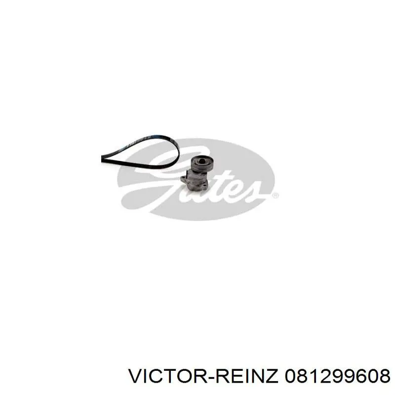 081299608 Victor Reinz juego completo de juntas, motor, inferior