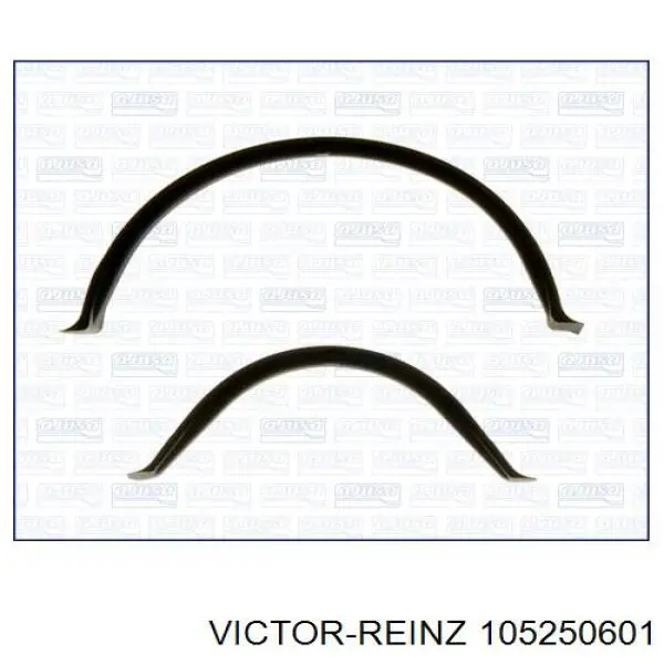 105250601 Victor Reinz