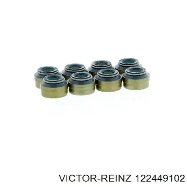 122449102 Victor Reinz sello de aceite de valvula (rascador de aceite Entrada/Salida Kit De Motor)