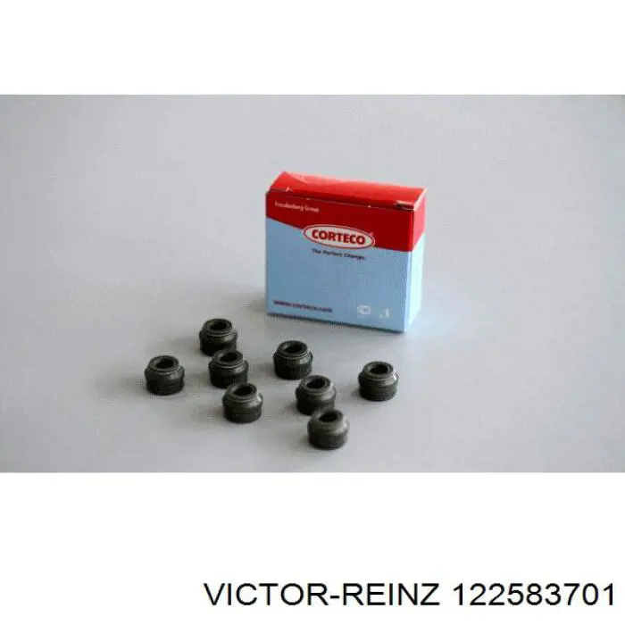 12-25837-01 Victor Reinz sello de aceite de valvula (rascador de aceite Entrada/Salida Kit De Motor)
