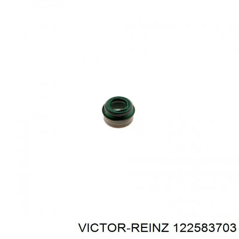 12-25837-03 Victor Reinz sello de aceite de valvula (rascador de aceite Entrada/Salida Kit De Motor)