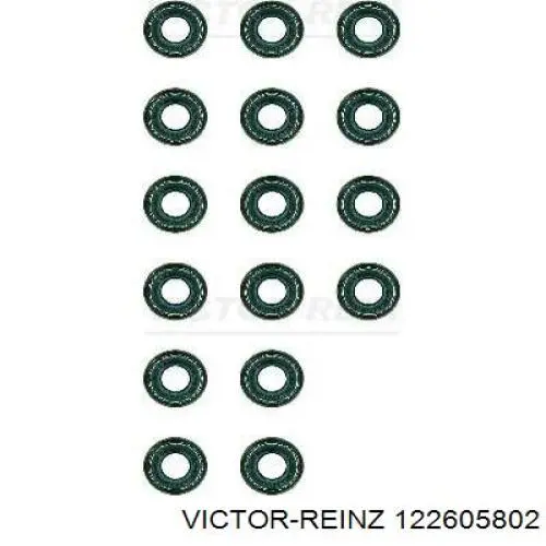 12-26058-02 Victor Reinz sello de aceite de valvula (rascador de aceite Entrada/Salida Kit De Motor)