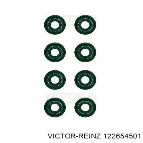 12-26545-01 Victor Reinz sello de aceite de valvula (rascador de aceite Entrada/Salida Kit De Motor)