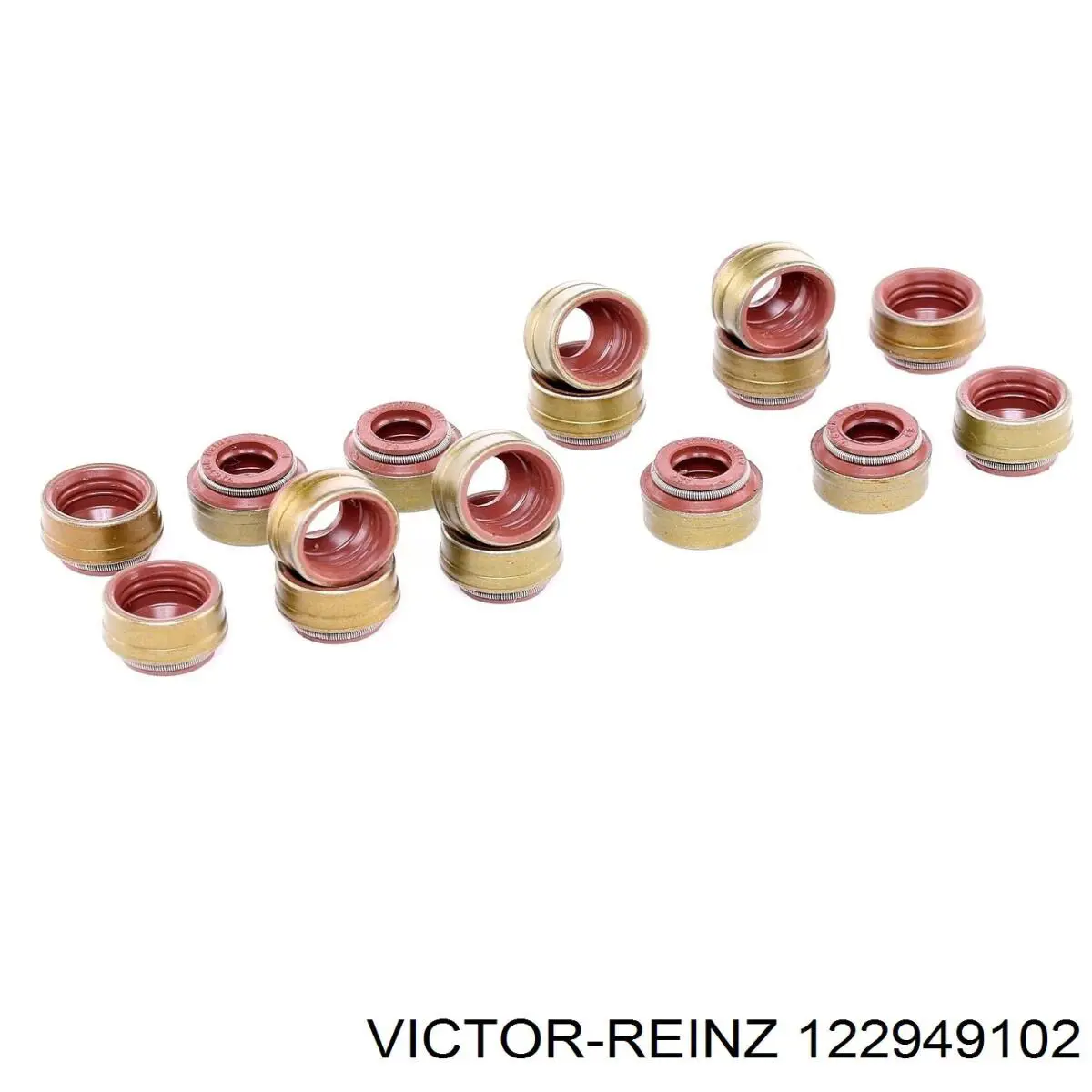 12-29491-02 Victor Reinz sello de aceite de valvula (rascador de aceite Entrada/Salida Kit De Motor)