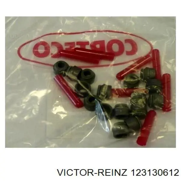 12-31306-12 Victor Reinz sello de aceite de valvula (rascador de aceite Entrada/Salida Kit De Motor)