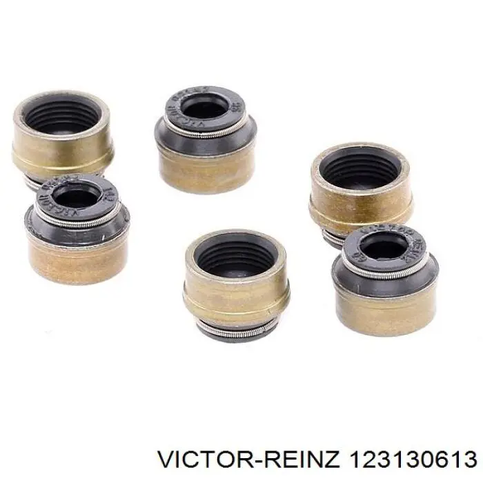 12-31306-13 Victor Reinz sello de aceite de valvula (rascador de aceite Entrada/Salida Kit De Motor)