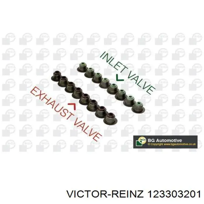 12-33032-01 Victor Reinz sello de aceite de valvula (rascador de aceite Entrada/Salida Kit De Motor)
