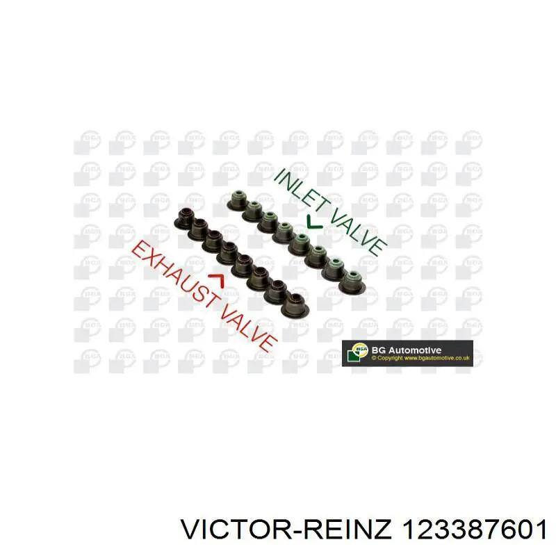 12-33876-01 Victor Reinz sello de aceite de valvula (rascador de aceite Entrada/Salida Kit De Motor)