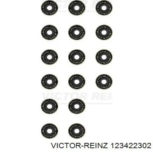123422302 Victor Reinz sello de aceite de valvula (rascador de aceite Entrada/Salida Kit De Motor)