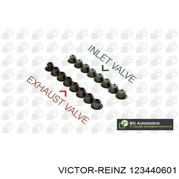 12-34406-01 Victor Reinz sello de aceite de valvula (rascador de aceite Entrada/Salida Kit De Motor)