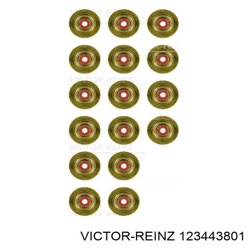Juego de retenes de válvula de admisión y escape Victor Reinz 123443801 precio, desde 44,82 EUR