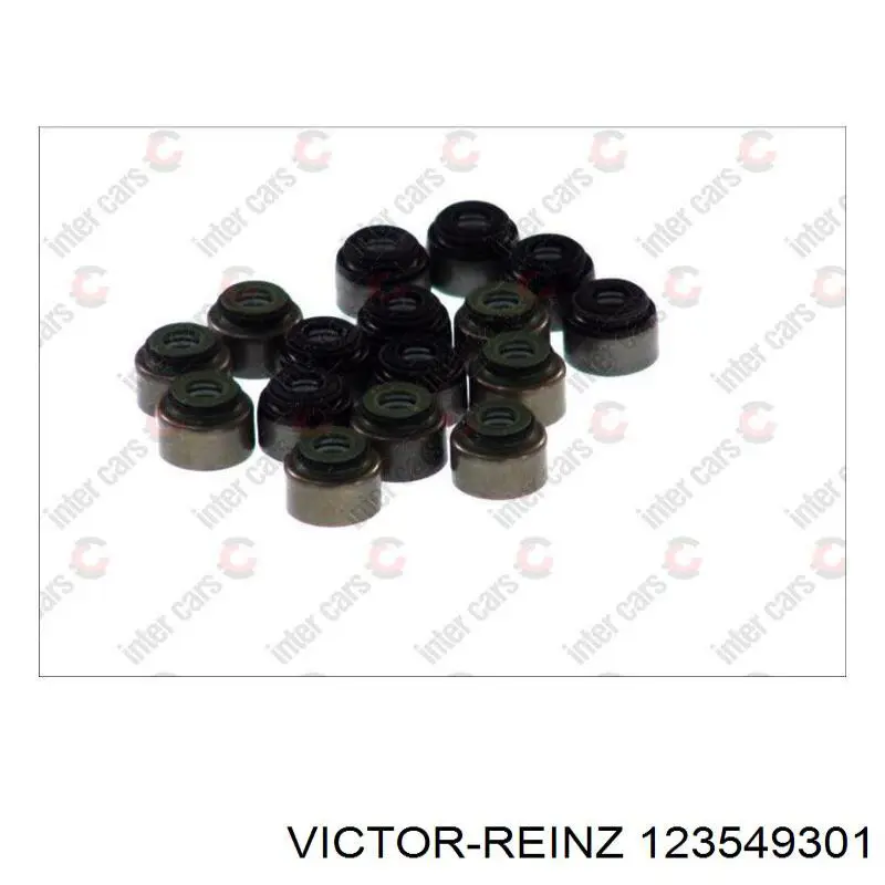 123549301 Victor Reinz sello de aceite de valvula (rascador de aceite Entrada/Salida Kit De Motor)