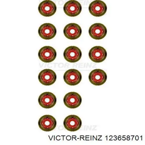123658701 Victor Reinz Juego de retenes de válvula de admisión y escape